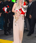 gaga_285829.jpg