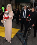 gaga_286229.jpg