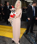 gaga_286329.jpg