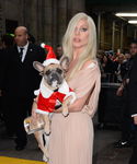gaga_286529.jpg