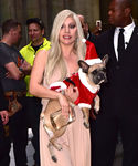 gaga_286929.jpg