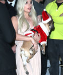 Filename=gaga_28729.jpg
Filesize=336KiB
Dimensions=1368x2089
Date added=Dec 12, 2015 gaga_28729.jpg