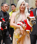gaga_287429.jpg