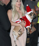 gaga_288529.jpg