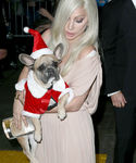 Filename=gaga_289229.jpg
Filesize=828KiB
Dimensions=2134x3200
Date added=Dec 12, 2015 gaga_289229.jpg