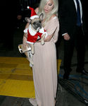 Filename=gaga_289329.jpg
Filesize=971KiB
Dimensions=2274x3410
Date added=Dec 12, 2015 gaga_289329.jpg