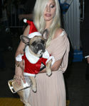 Filename=gaga_289429.jpg
Filesize=934KiB
Dimensions=2317x3475
Date added=Dec 12, 2015 gaga_289429.jpg