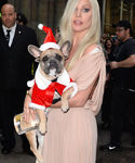 Filename=gaga_289529.jpg
Filesize=229KiB
Dimensions=976x1464
Date added=Dec 12, 2015 gaga_289529.jpg