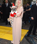 Filename=gaga_289729.jpg
Filesize=1201KiB
Dimensions=2133x3200
Date added=Dec 12, 2015 gaga_289729.jpg