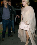 gaga_282929.jpg