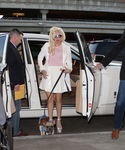 gaga_281829.jpg