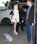 Filename=gaga_282529.jpg
Filesize=1639KiB
Dimensions=3840x5126
Date added=Dec 29, 2015 gaga_282529.jpg
