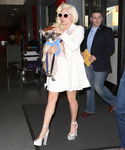 Filename=gaga_282729.jpg
Filesize=1275KiB
Dimensions=2739x3702
Date added=Dec 29, 2015 gaga_282729.jpg