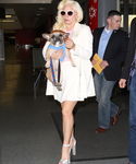 Filename=gaga_282829.jpg
Filesize=1023KiB
Dimensions=2573x3567
Date added=Dec 29, 2015 gaga_282829.jpg