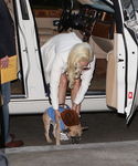 Filename=gaga_283329.jpg
Filesize=244KiB
Dimensions=1336x1364
Date added=Dec 29, 2015 gaga_283329.jpg