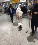 Filename=gaga_28229.jpg
Filesize=113KiB
Dimensions=600x800
Date added=Dec 29, 2015 gaga_28229.jpg