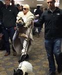 gaga_28129.jpg