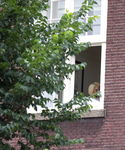 gaga_281029.jpg