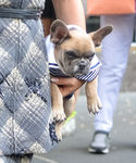 Filename=1_282029.jpg
Filesize=993KiB
Dimensions=2067x3100
Date added=May 13, 2015 1_282029.jpg