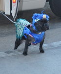 gaga_28829.jpg