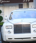 gaga_283629.jpg