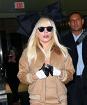 Filename=gaga_283029.jpg
Filesize=688KiB
Dimensions=2535x3000
Date added=Nov 22, 2015 gaga_283029.jpg
