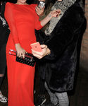 gaga_282229.jpg