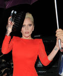 gaga_282829.jpg