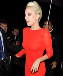 gaga_284529.jpg