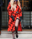 gaga_2810329.JPG