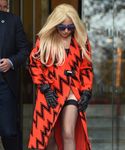 gaga_281829.jpg