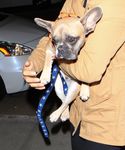 Filename=gaga_282929.JPG
Filesize=492KiB
Dimensions=1901x2496
Date added=Oct 06, 2015 gaga_282929.JPG