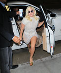 Filename=gaga_283129.JPG
Filesize=979KiB
Dimensions=2438x3064
Date added=Oct 06, 2015 gaga_283129.JPG