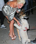 Filename=gaga_28229.jpg
Filesize=855KiB
Dimensions=2000x3000
Date added=Oct 07, 2015 gaga_28229.jpg