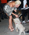 Filename=gaga_28329.jpg
Filesize=950KiB
Dimensions=2239x3000
Date added=Oct 07, 2015 gaga_28329.jpg