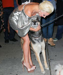 Filename=gaga_28429.jpg
Filesize=918KiB
Dimensions=2298x3000
Date added=Oct 07, 2015 gaga_28429.jpg