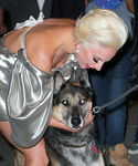 Filename=gaga_28729.jpg
Filesize=868KiB
Dimensions=2540x3000
Date added=Oct 07, 2015 gaga_28729.jpg