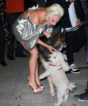 Filename=gaga_28829.jpg
Filesize=866KiB
Dimensions=2353x3000
Date added=Oct 07, 2015 gaga_28829.jpg
