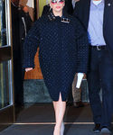 gaga_2810229.jpg