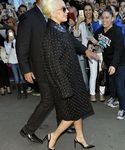 gaga_288129.jpg