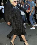 gaga_288329.jpg