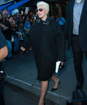 gaga_289129.jpg