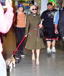 gaga_281429.jpg