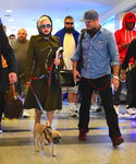 gaga_282729.jpg