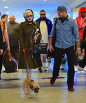 gaga_282829.jpg