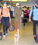 gaga_283129.jpg