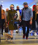 gaga_28329.jpg