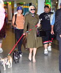 gaga_283729.jpg