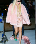Filename=gaga_28729.JPG
Filesize=2064KiB
Dimensions=3353x5029
Date added=Oct 13, 2015 gaga_28729.JPG