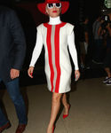 gaga_281529.jpg